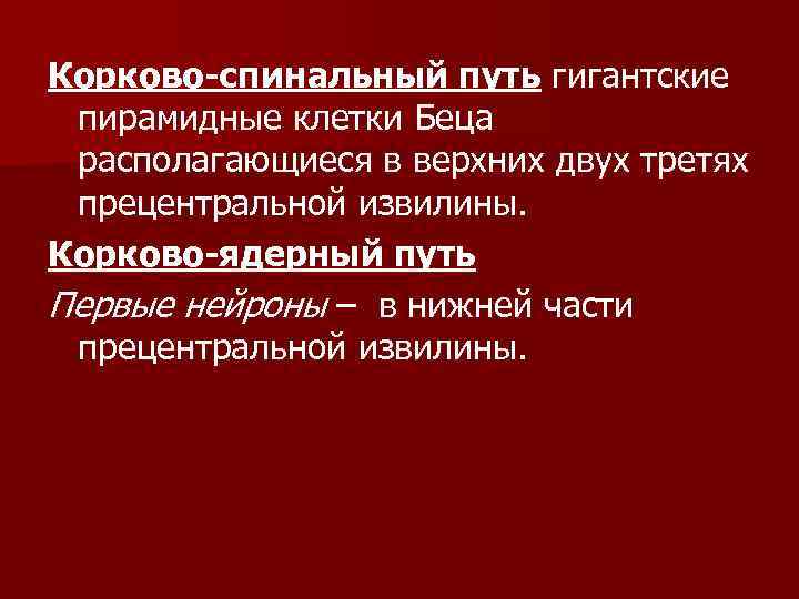 Корково-спинальный путь гигантские пирамидные клетки Беца располагающиеся в верхних двух третях прецентральной извилины. Корково-ядерный