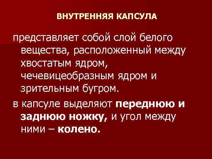 ВНУТРЕННЯЯ КАПСУЛА представляет собой слой белого вещества, расположенный между хвостатым ядром, чечевицеобразным ядром и