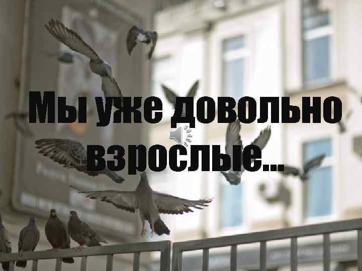 Мы уже довольно взрослые… 