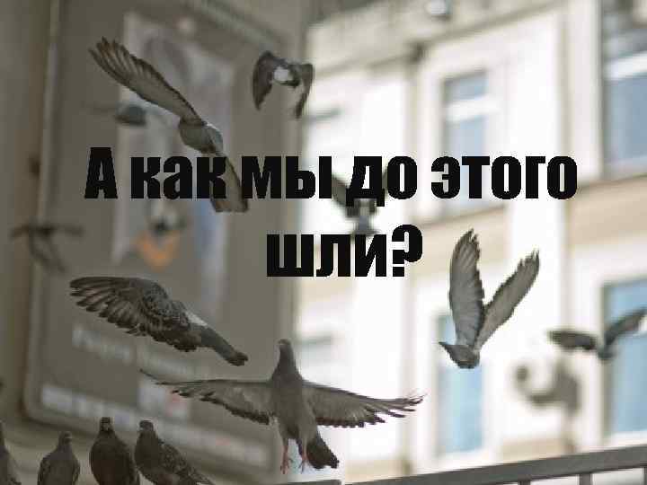 А как мы до этого шли? 