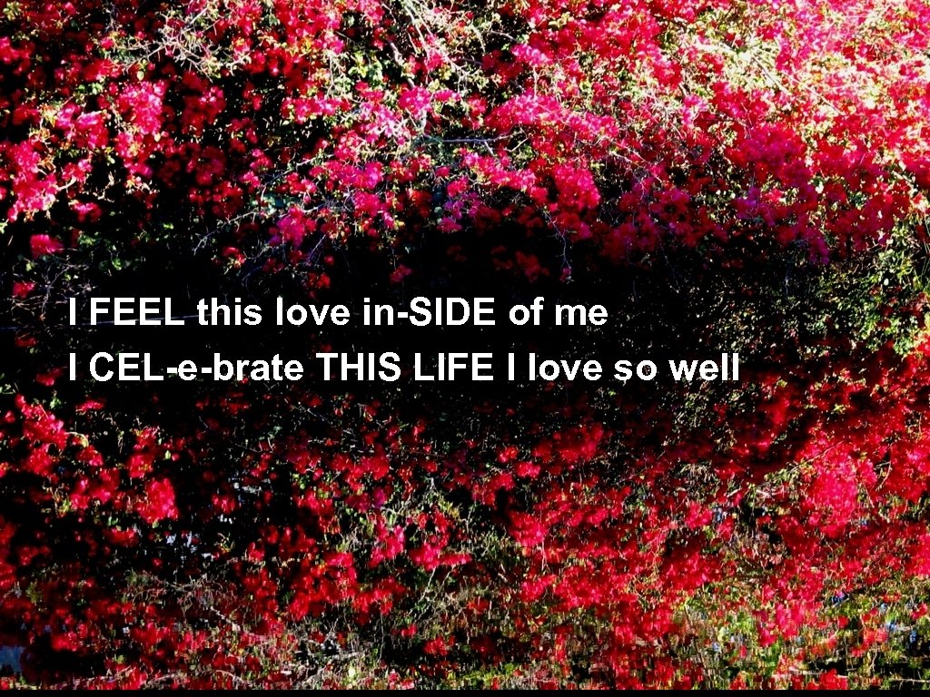 I FEEL this love in-SIDE of me I CEL-e-brate THIS LIFE I love so