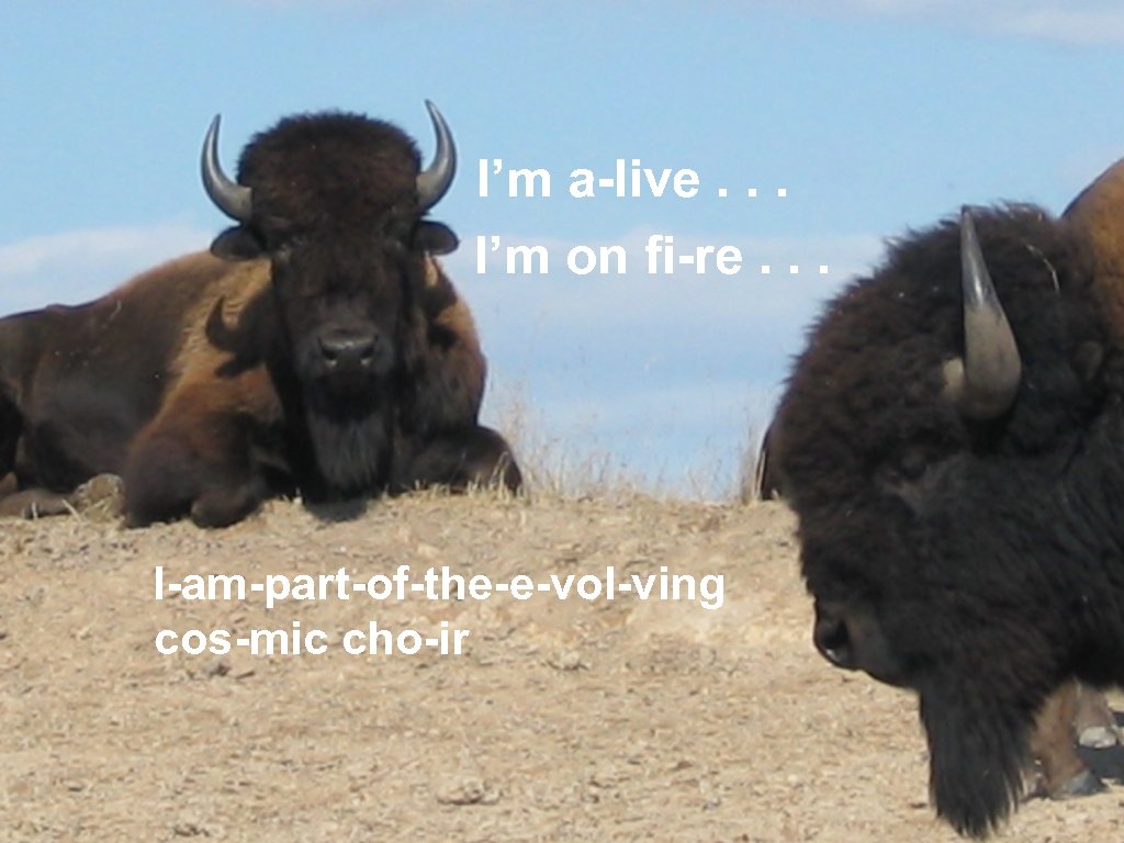 I’m a-live. . . I’m on fi-re. . . I-am-part-of-the-e-vol-ving cos-mic cho-ir 