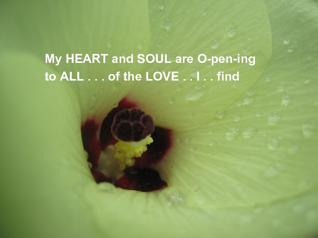 My HEART and SOUL are O-pen-ing to ALL. . . of the LOVE. .