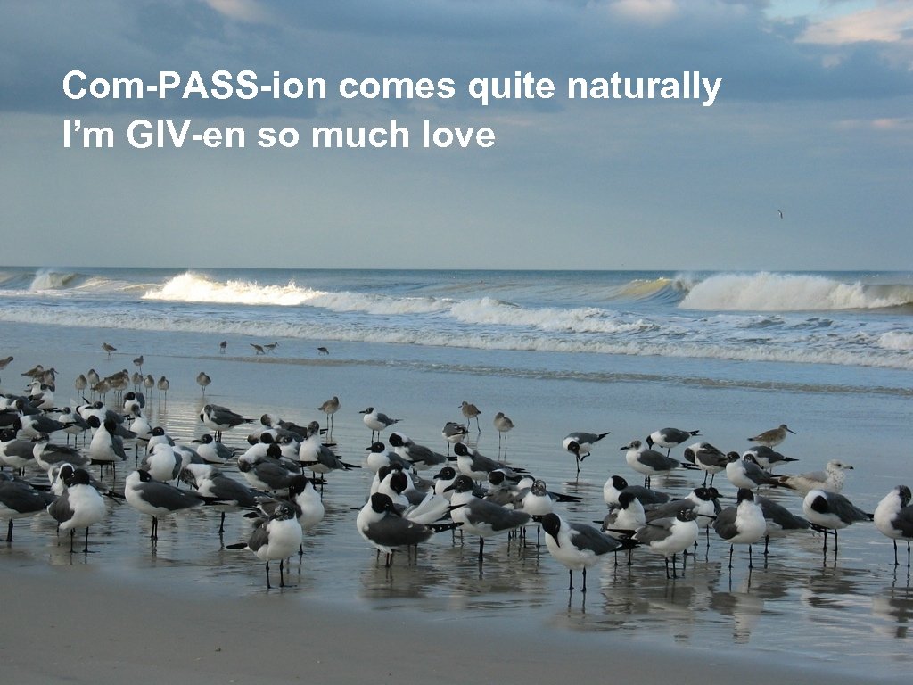 Com-PASS-ion comes quite naturally I’m GIV-en so much love 