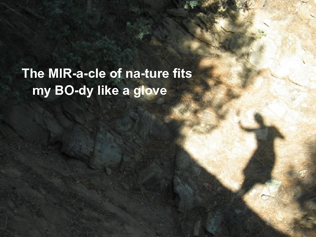 The MIR-a-cle of na-ture fits my BO-dy like a glove 