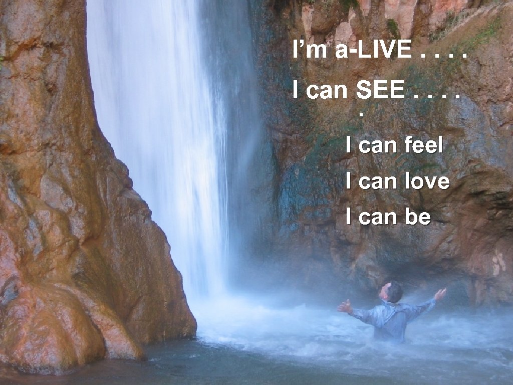 I’m a-LIVE. . I can SEE. . . I can feel I can love