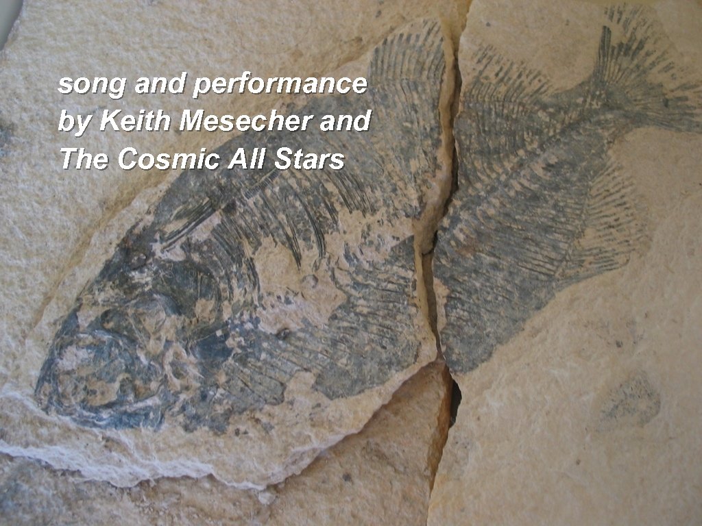 song and performance by Keith Mesecher and The Cosmic All Stars 