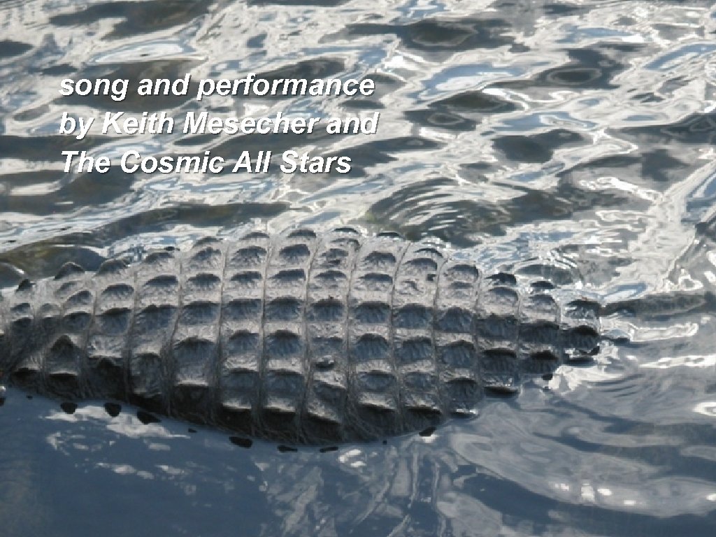 song and performance by Keith Mesecher and The Cosmic All Stars 