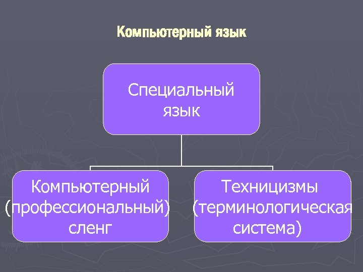 Компьютерный язык Специальный язык Компьютерный (профессиональный) сленг Техницизмы (терминологическая система) 