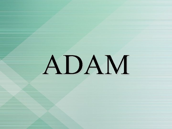 ADAM 