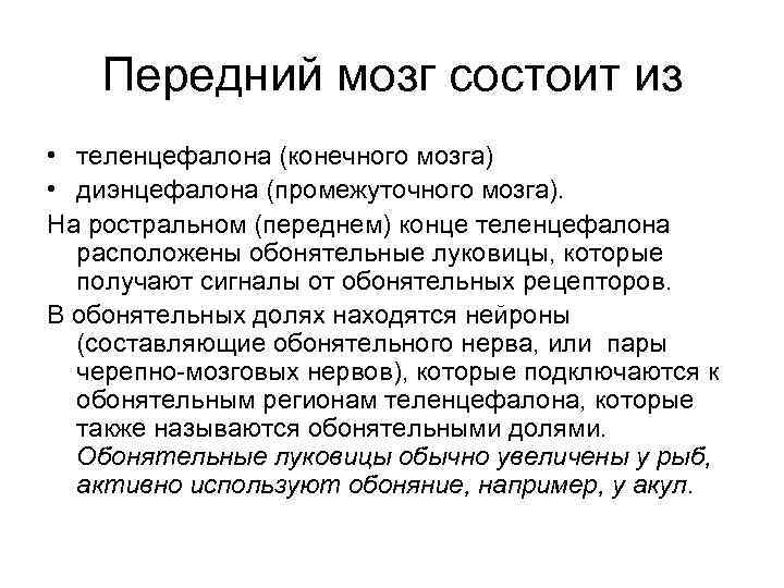 Передний мозг состоит из • теленцефалона (конечного мозга) • диэнцефалона (промежуточного мозга). На ростральном