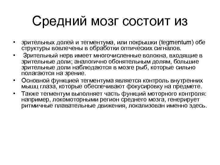 Средний мозг состоит из • зрительных долей и тегментума, или покрышки (tegmentum) обе структуры