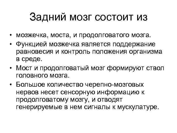 Задний мозг состоит из • мозжечка, моста, и продолговатого мозга. • Функцией мозжечка является