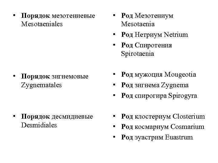  • Порядок мезотениевые Mesotaeniales • Род Мезотениум Mesotaenia • Род Нетриум Netrium •