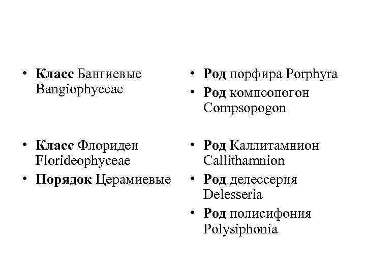  • Класс Бангиевые Bangiophyceae • Род порфира Porphyra • Род компсопогон Compsopogon •