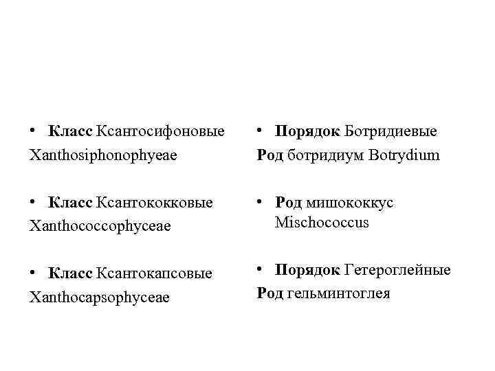  • Класс Ксантосифоновые Xanthosiphonophyeae • Порядок Ботридиевые Род ботридиум Botrydium • Класс Ксантококковые