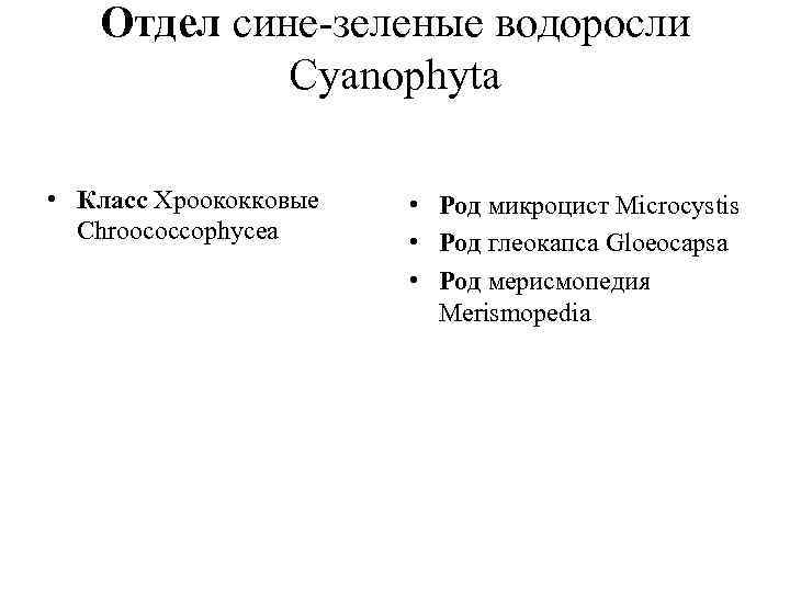 Отдел сине-зеленые водоросли Cyanophyta • Класс Хроококковые Chroococcophycea • Род микроцист Microcystis • Род