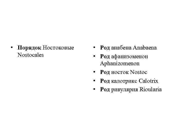  • Порядок Ностоковые Nostocales • Род анабена Anabaena • Род афанизоменон Aphanizomenon •