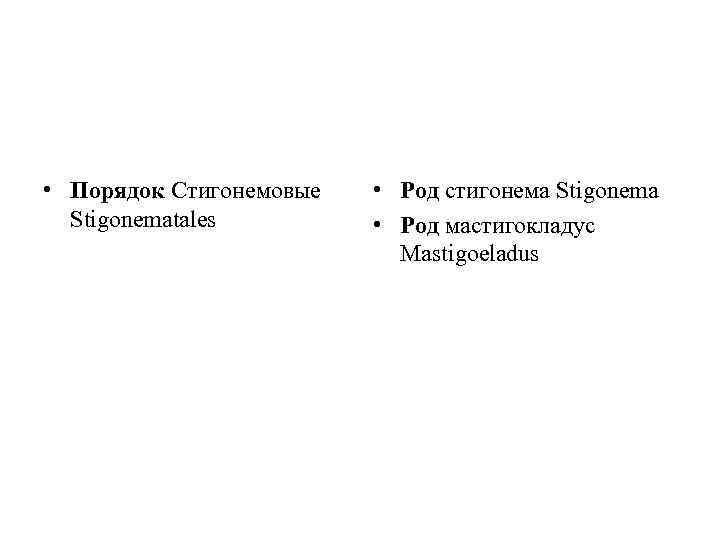  • Порядок Стигонемовые Stigonematales • Род стигонема Stigonema • Род мастигокладус Mastigoeladus 