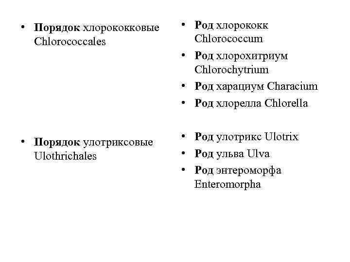  • Порядок хлорококковые Chlorococcales • Род хлорококк Chlorococcum • Род хлорохитриум Chlorochytrium •