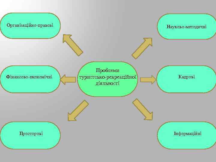 Організаційно-правові Фінансово-економічні Просторові Науково-методичні Проблеми туристсько-рекреаційної діяльності Кадрові Інформаційні 