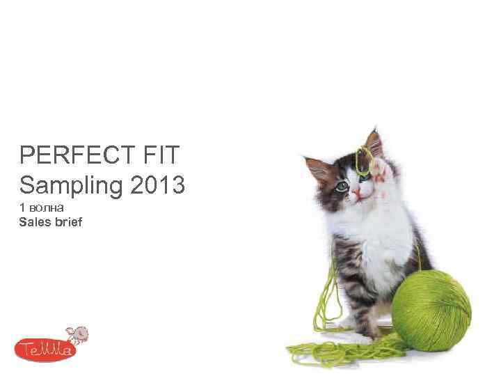 PERFECT FIT Sampling 2013 1 волна Sales brief 