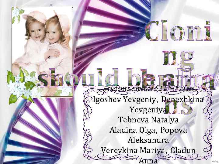 Students executed 11 