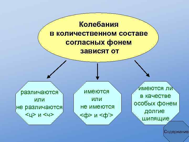 Колебания в количественном составе согласных фонем зависят от различаются или не различаются <ц> и