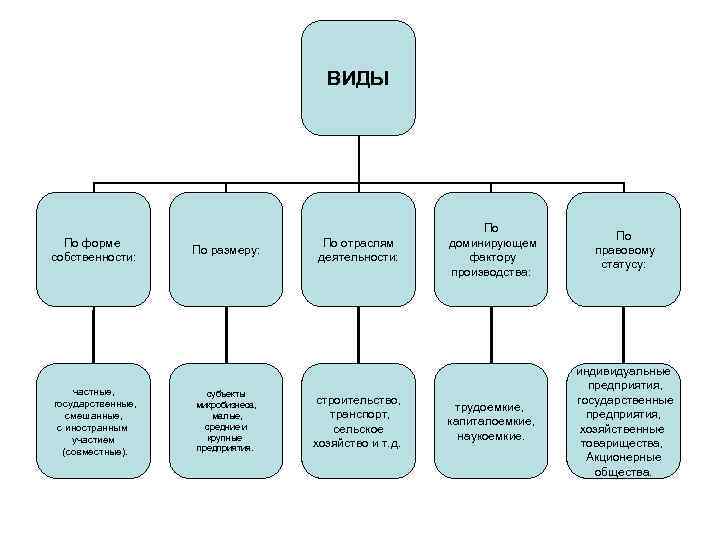 ВИДЫ По форме собственности: частные, государственные, смешанные, с иностранным участием (совместные). По размеру: субъекты