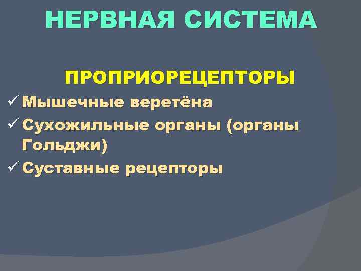 НЕРВНАЯ СИСТЕМА ПРОПРИОРЕЦЕПТОРЫ ü Мышечные веретёна ü Сухожильные органы (органы Гольджи) ü Суставные рецепторы