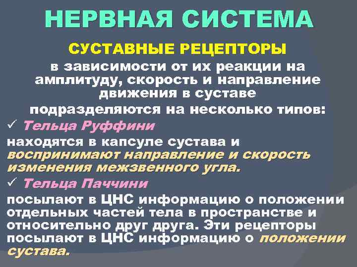 НЕРВНАЯ СИСТЕМА СУСТАВНЫЕ РЕЦЕПТОРЫ в зависимости от их реакции на амплитуду, скорость и направление