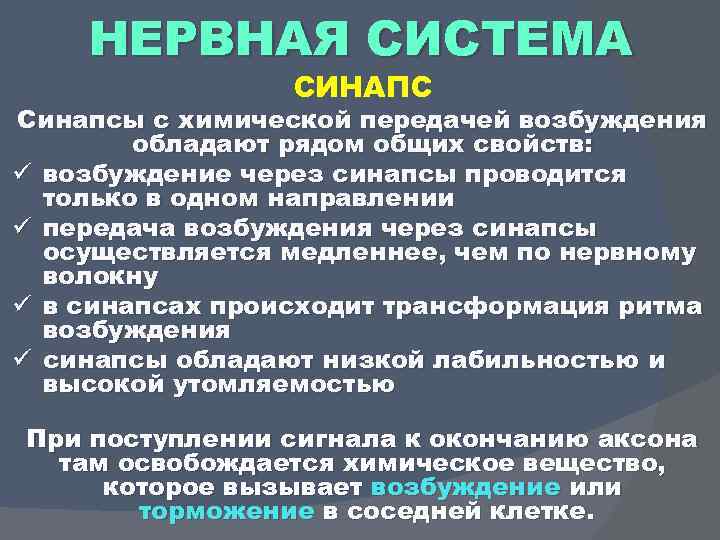 НЕРВНАЯ СИСТЕМА СИНАПС Синапсы с химической передачей возбуждения обладают рядом общих свойств: ü возбуждение