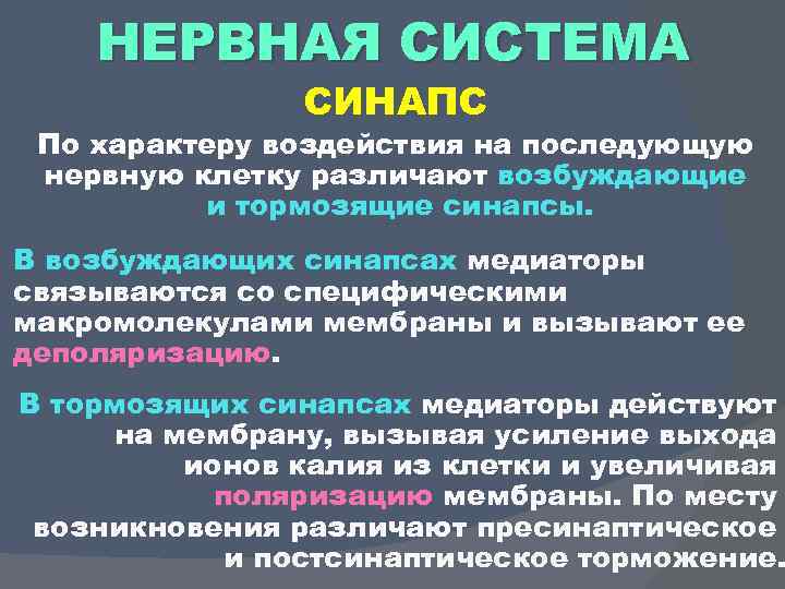 НЕРВНАЯ СИСТЕМА СИНАПС По характеру воздействия на последующую нервную клетку различают возбуждающие и тормозящие