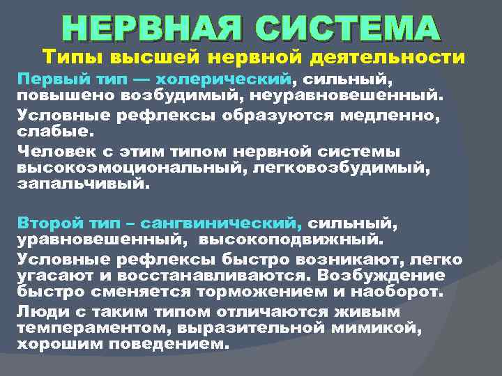 НЕРВНАЯ СИСТЕМА Типы высшей нервной деятельности Первый тип — холерический, сильный, повышено возбудимый, неуравновешенный.