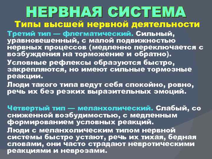 НЕРВНАЯ СИСТЕМА Типы высшей нервной деятельности Третий тип — флегматический. Сильный, уравновешенный, с малой