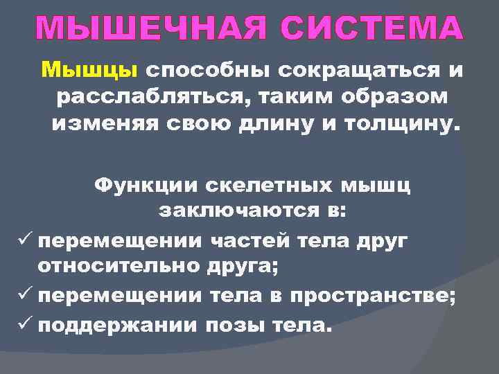 МЫШЕЧНАЯ СИСТЕМА Мышцы способны сокращаться и расслабляться, таким образом изменяя свою длину и толщину.