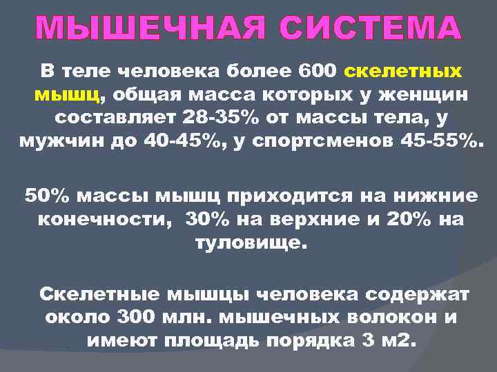 МЫШЕЧНАЯ СИСТЕМА В теле человека более 600 скелетных мышц, общая масса которых у женщин