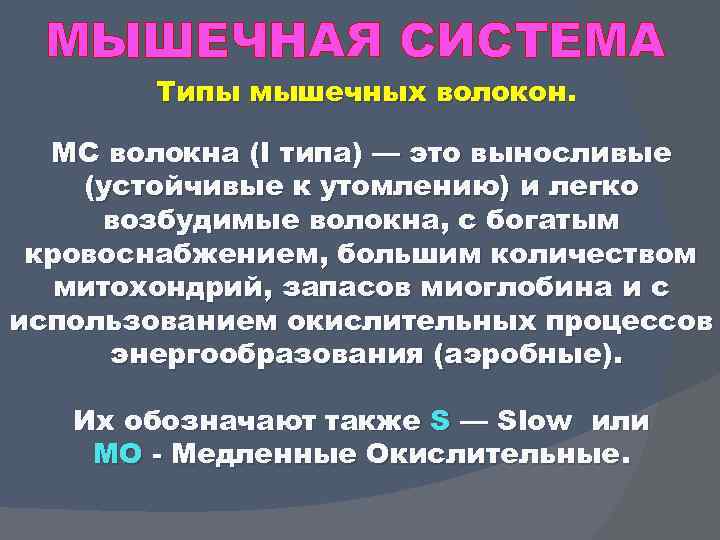 МЫШЕЧНАЯ СИСТЕМА Типы мышечных волокон. МС волокна (I типа) — это выносливые (устойчивые к