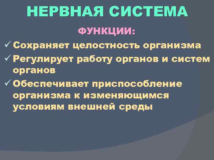 НЕРВНАЯ СИСТЕМА ФУНКЦИИ: ü Сохраняет целостность организма ü Регулирует работу органов и систем органов