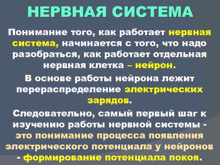 НЕРВНАЯ СИСТЕМА Понимание того, как работает нервная система, начинается с того, что надо разобраться,