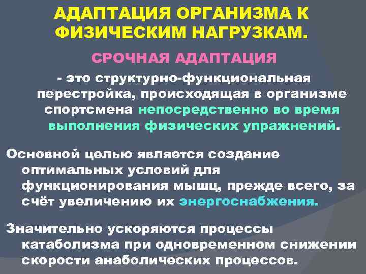 Реакция организма на физические нагрузки. Адаптация к физическим нагрузкам. В процессе адаптации к физическим нагрузкам. Адаптация человеческого организма к физическим нагрузкам. Методика адаптации организма к нагрузке.