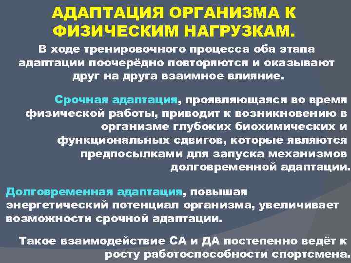 АДАПТАЦИЯ ОРГАНИЗМА К ФИЗИЧЕСКИМ НАГРУЗКАМ. В ходе тренировочного процесса оба этапа адаптации поочерёдно повторяются