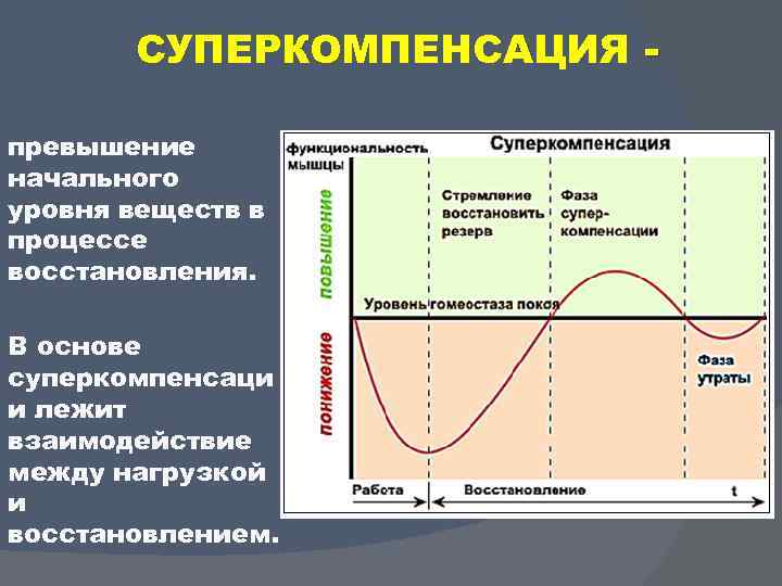 СУПЕРКОМПЕНСАЦИЯ превышение начального уровня веществ в процессе восстановления. В основе суперкомпенсаци и лежит взаимодействие