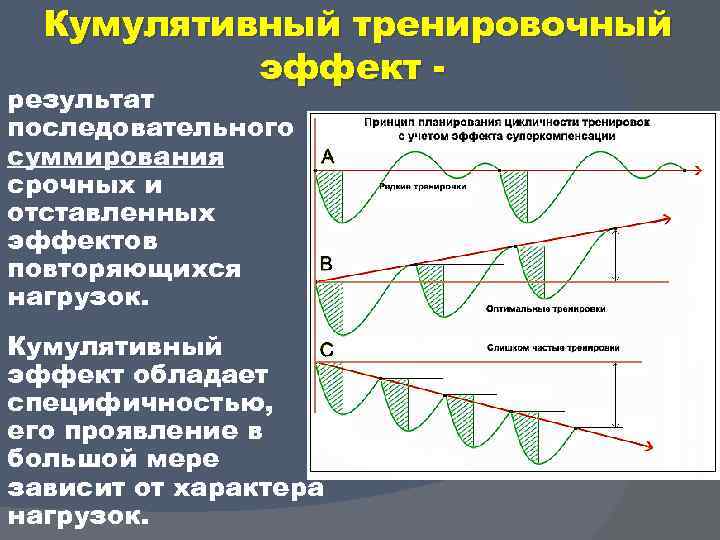 Тренировочный эффект. Кумулятивный тренировочный эффект. Срочный отставленный и кумулятивный эффекты тренировки. Срочный и кумулятивный тренировочный эффект. Кумулятивный эффект в спорте.