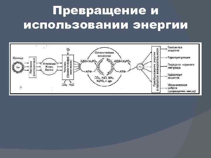 Превращение и использовании энергии 