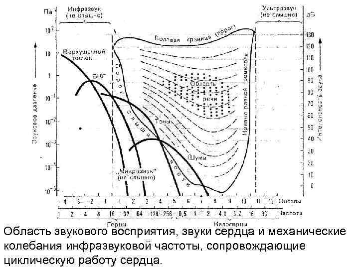 Работа 17 создаем циклическую презентацию скакалочка