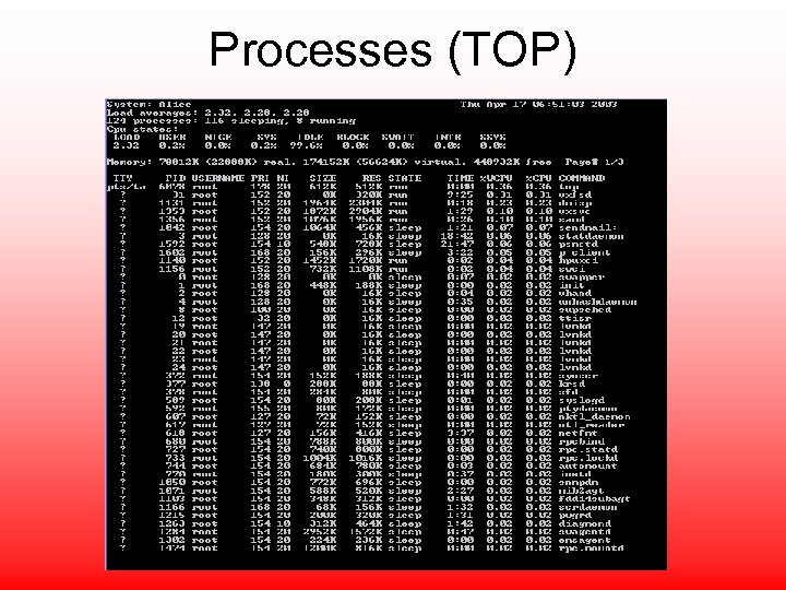 Processes (TOP) 