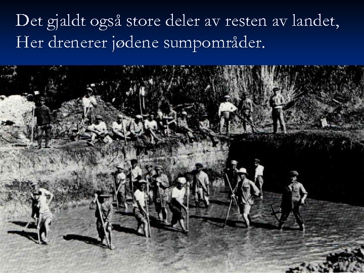 Det gjaldt også store deler av resten av landet, Her drenerer jødene sumpområder. 