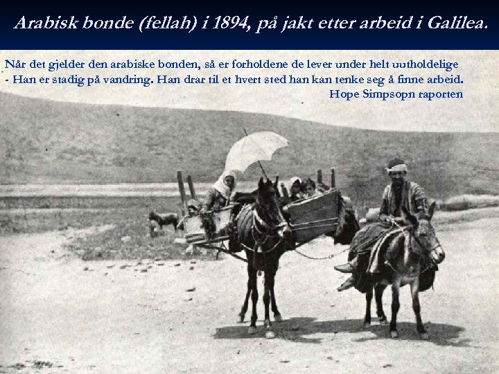 Arabisk bonde (fellah) i 1894, på jakt etter arbeid i Galilea. Når det gjelder