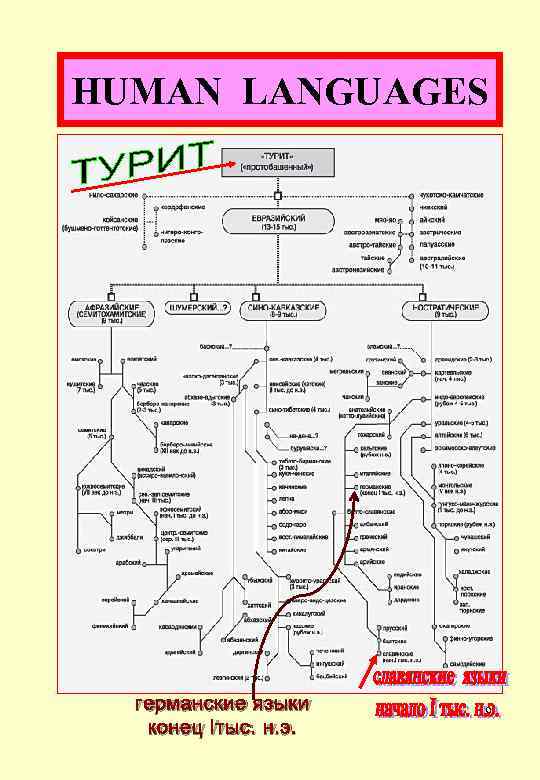HUMAN LANGUAGES германские языки конец Iтыс. н. э. 19 